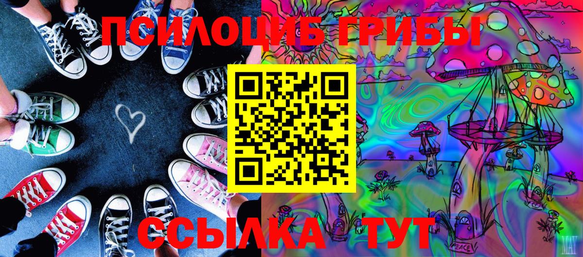 Псилоцибиновые грибы MAGIC MUSHROOMS Калуга